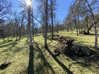 10359 Pool Station Rd, Angels Camp, CA 95222