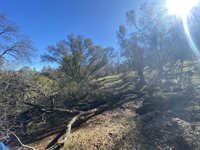 10359 Pool Station Rd, Angels Camp, CA 95222