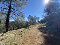 10359 Pool Station Rd, Angels Camp, CA 95222