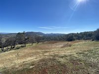 10359 Pool Station Rd, Angels Camp, CA 95222