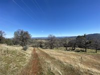 10359 Pool Station Rd, Angels Camp, CA 95222