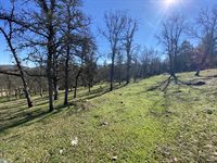 10359 Pool Station Rd, Angels Camp, CA 95222