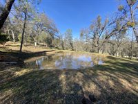 10359 Pool Station Rd, Angels Camp, CA 95222