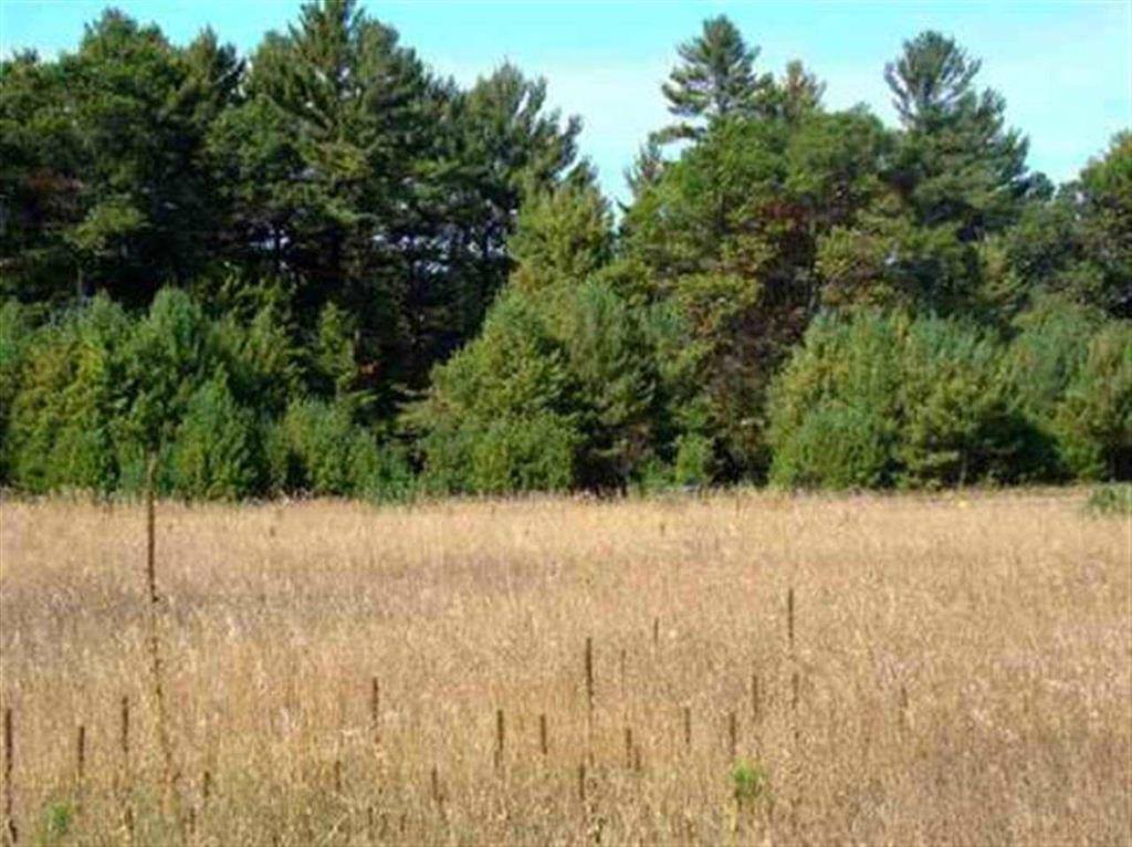 Lot 36 Verde Villa Drive, Hatley, WI 54440