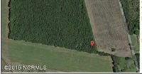 11 Acres Penderlea Hwy, Burgaw, NC 28425