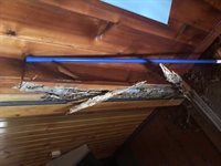 595 Pleasant Hill Rd., Franklin, KY 42134