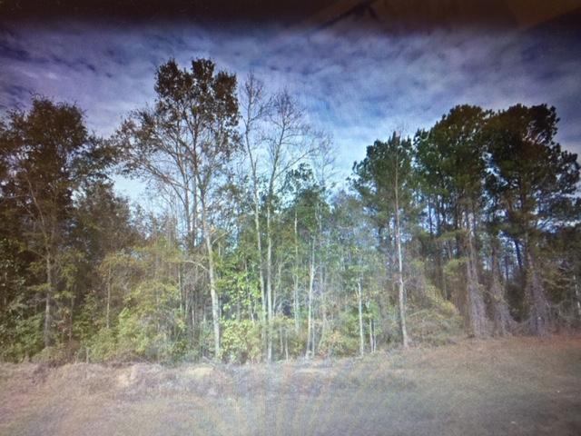 40 ACRES Hwy 85, Laurel Hill, FL 32567