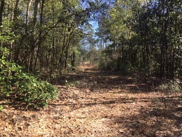 40 ACRES Hwy 85, Laurel Hill, FL 32567