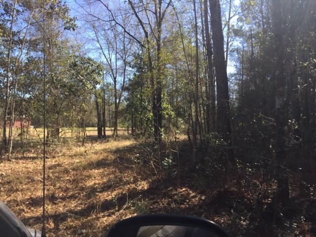 40 ACRES Hwy 85, Laurel Hill, FL 32567