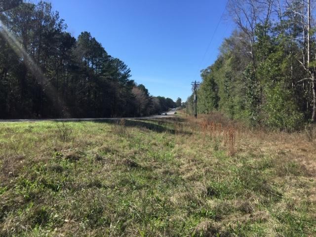 40 ACRES Hwy 85, Laurel Hill, FL 32567