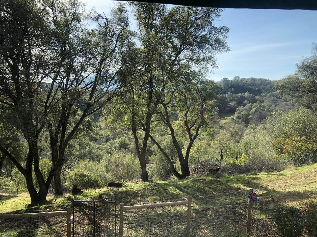 1360 Fairview Pl, Angels Camp, CA 95222