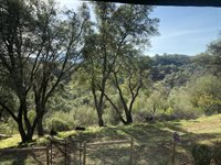 1360 Fairview Pl, Angels Camp, CA 95222