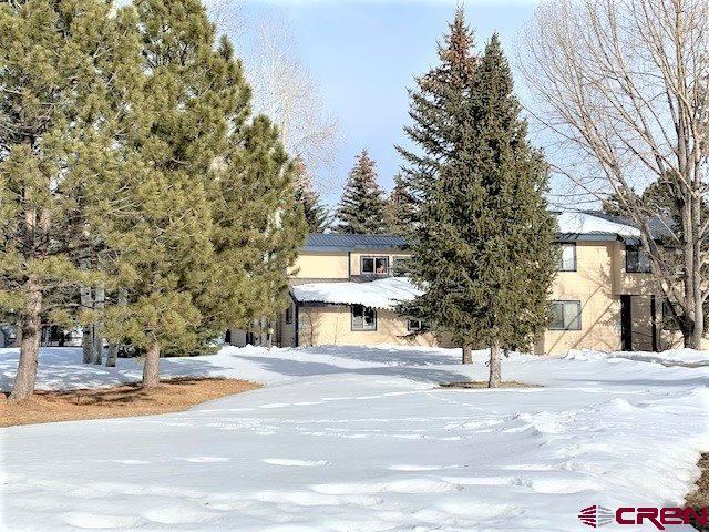 199 Davis Cup Drive, #4063, Pagosa Springs, CO 81147