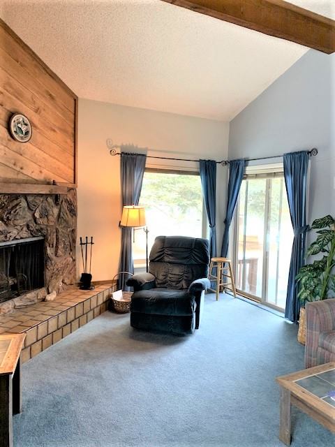 199 Davis Cup Drive, #4063, Pagosa Springs, CO 81147