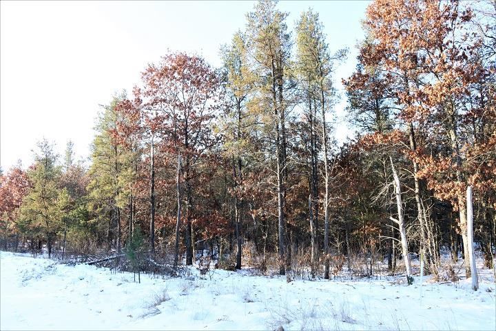 80 Acres 10TH AVENUE, Nekoosa, WI 54457