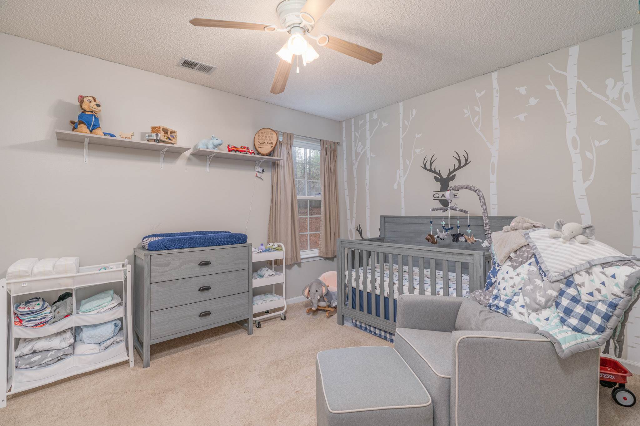 288 Siddington Way, Lexington, SC 29073