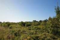 37.59 Acres STATE HIGHWAY 54 WEST, Wisconsin Rapids, WI 54495