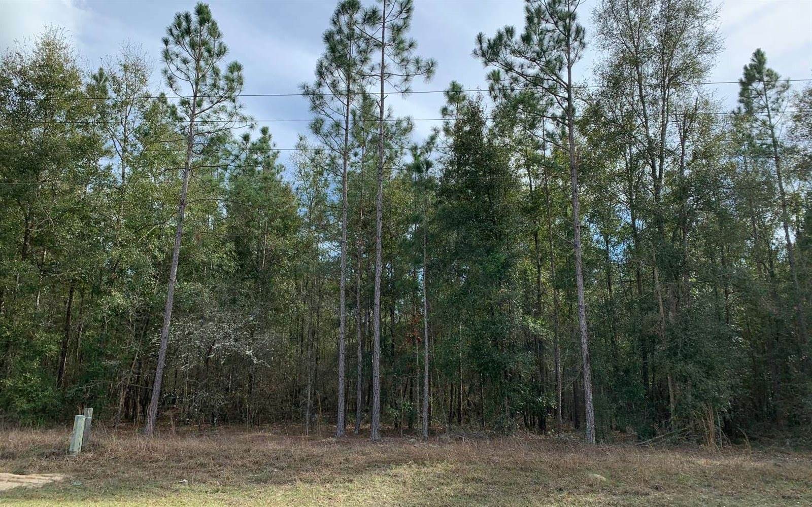 TBD Lot 7 180th Street, Live Oak, FL 32060