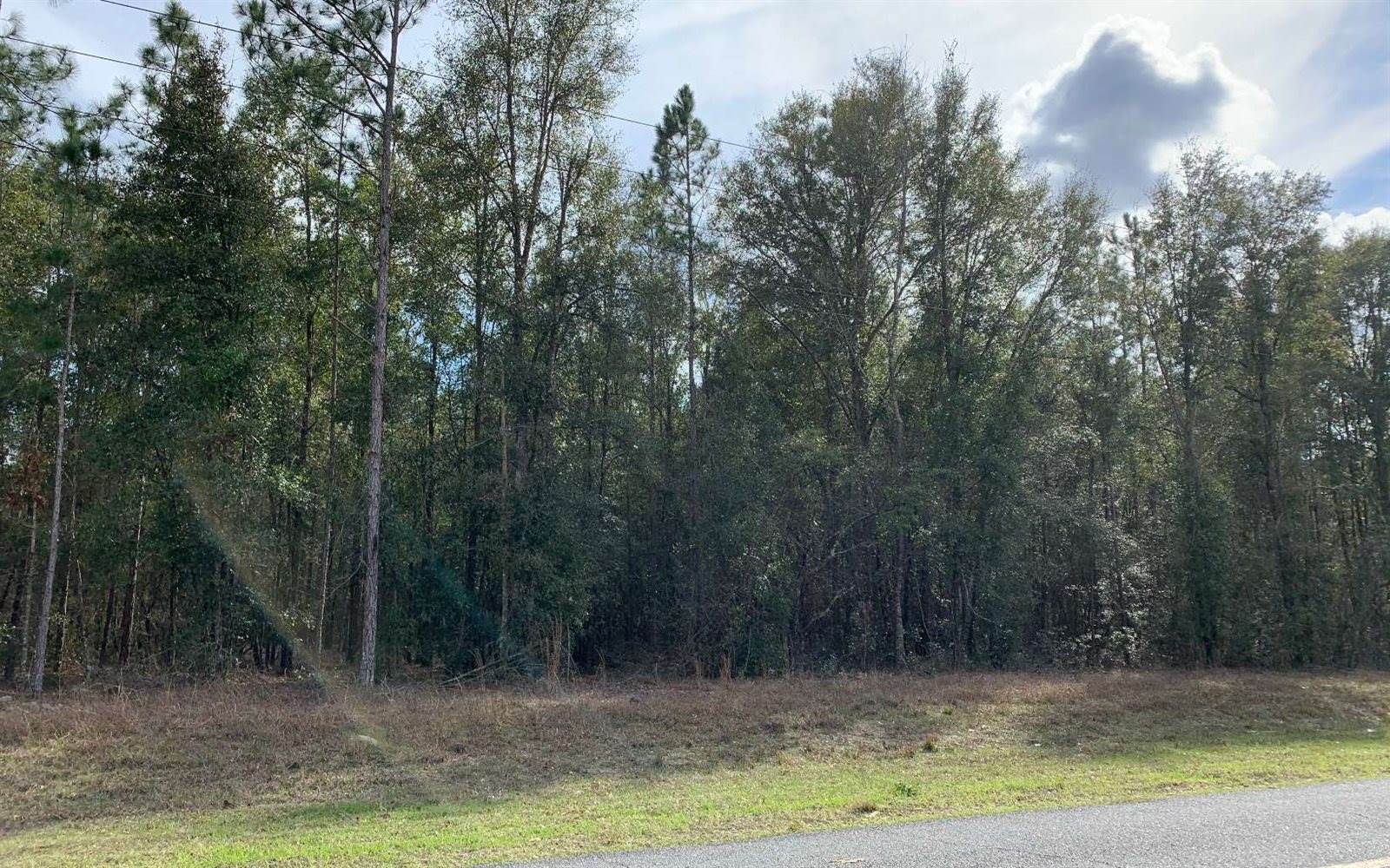 TBD Lot 7 180th Street, Live Oak, FL 32060