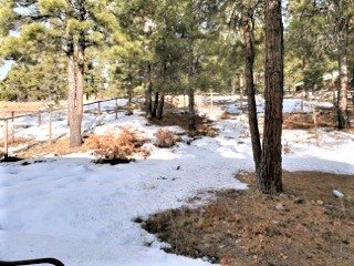 195 Wilderness Drive, Pagosa Springs, CO 81147