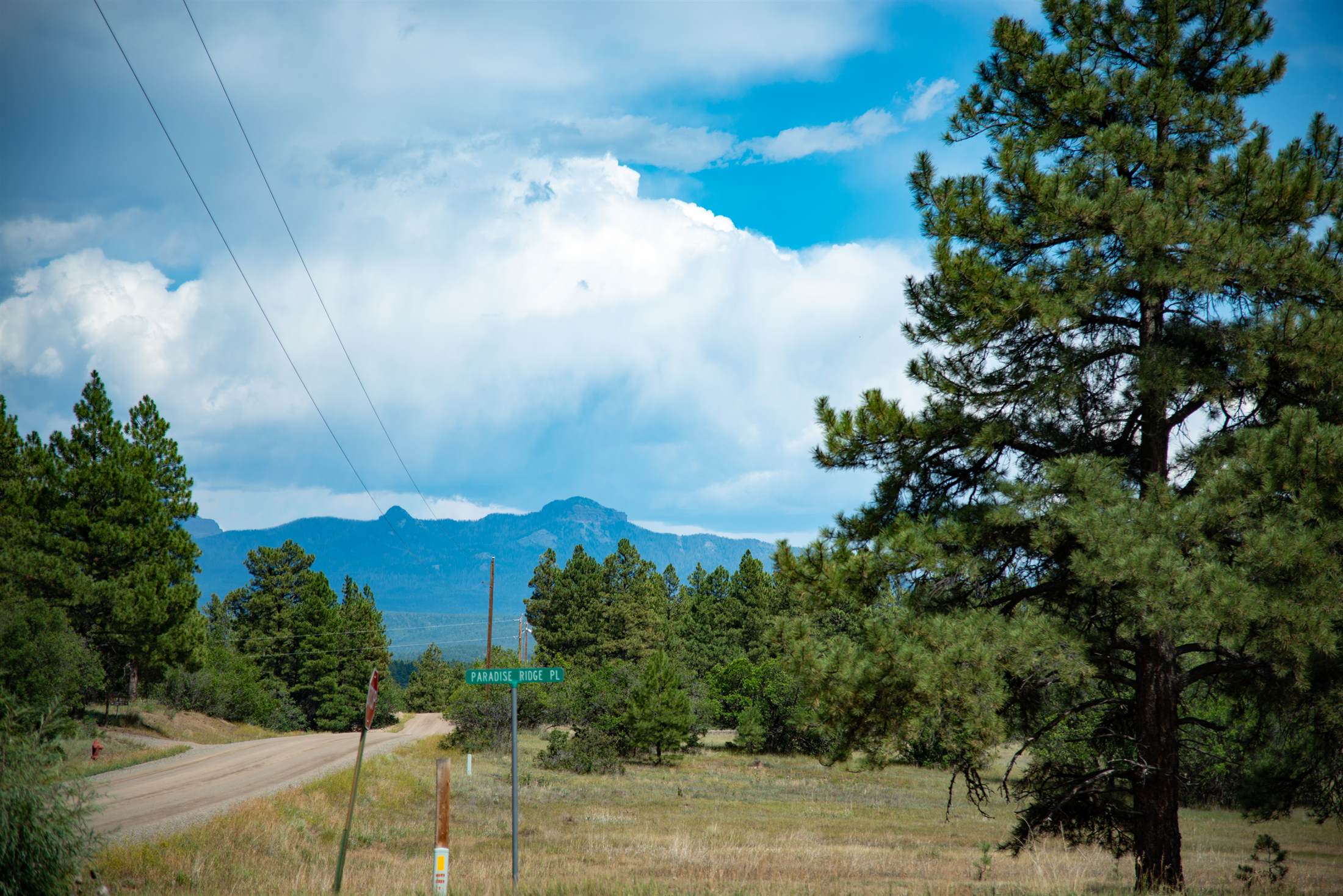 915 Oakbrush Street, Pagosa Springs, CO 81147