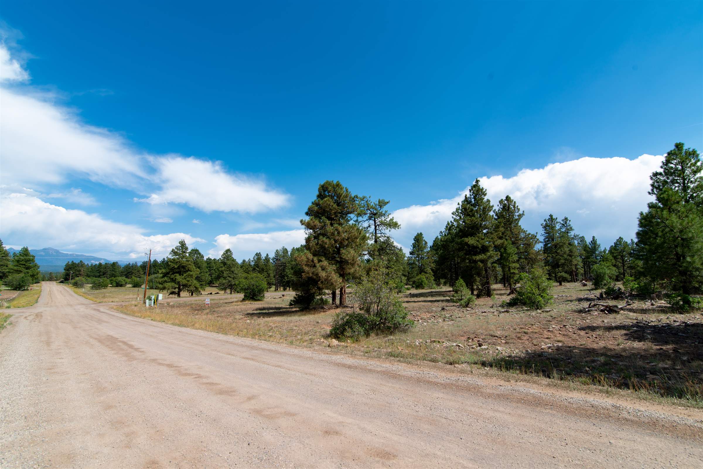 915 Oakbrush Street, Pagosa Springs, CO 81147