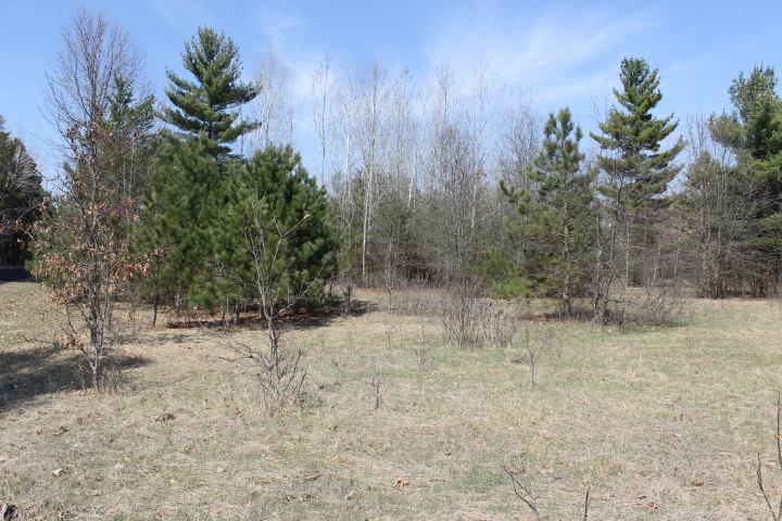 498 15th Drive, Nekoosa, WI 54457