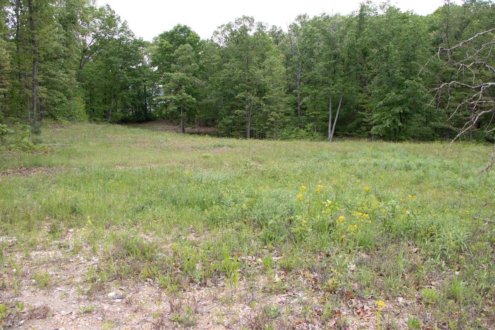 000 Mcintire Rd, Rock Spring, GA 30739