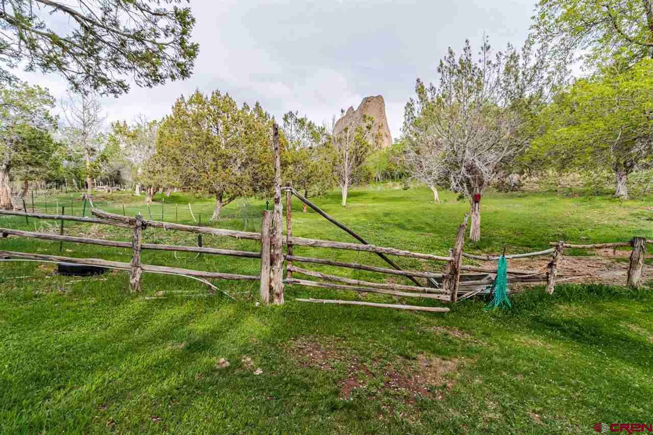 4900 4300 Road, Crawford, CO 81415