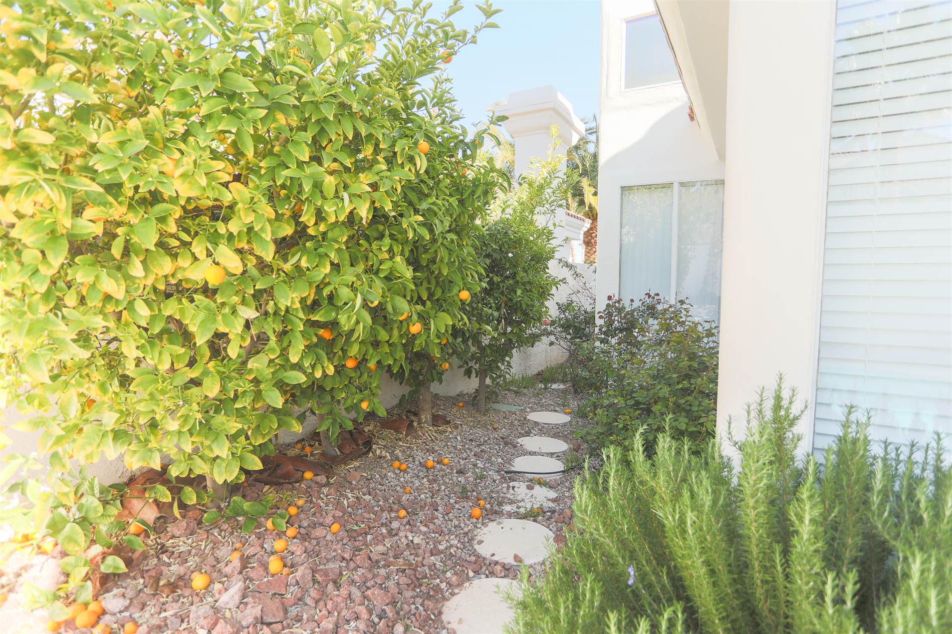 8129 Bay Harbor, Las Vegas, NV 89128