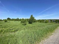 Lot#1 Little Brook court, Wausau, WI 54401