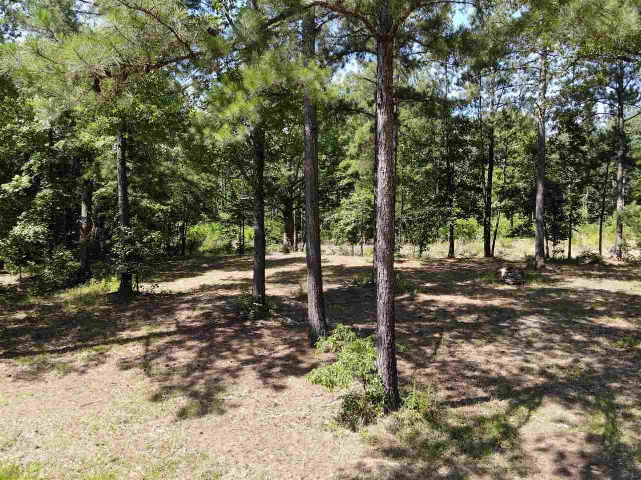 336 Braswell Road, Florence, MS 39073