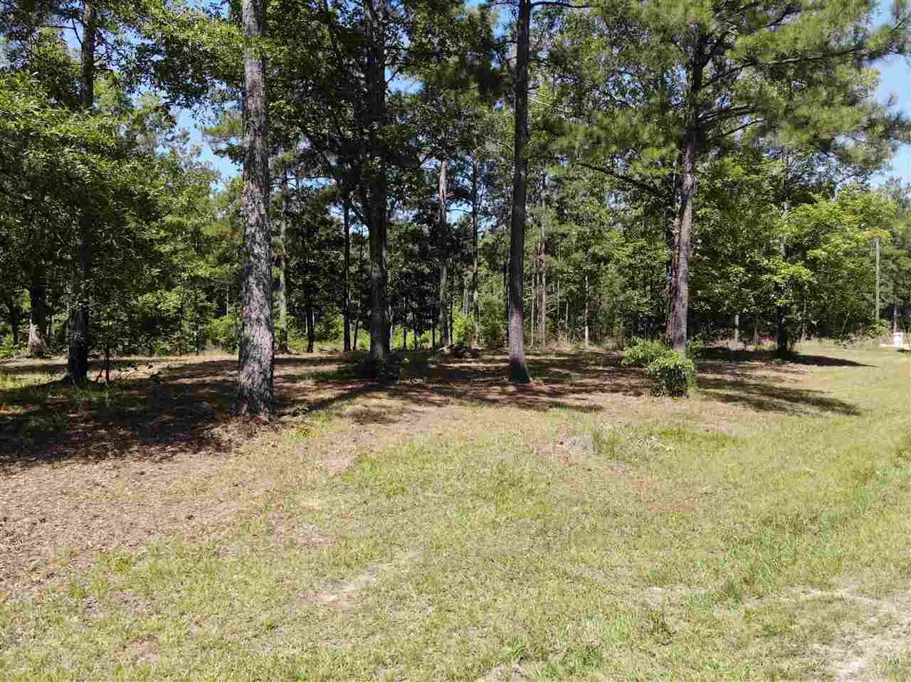 336 Braswell Road, Florence, MS 39073