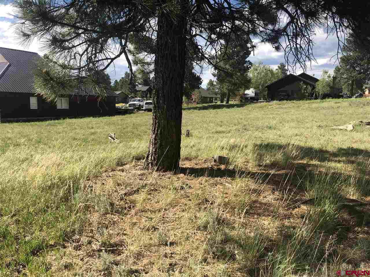 45 La Costa Court, Pagosa Springs, CO 81147