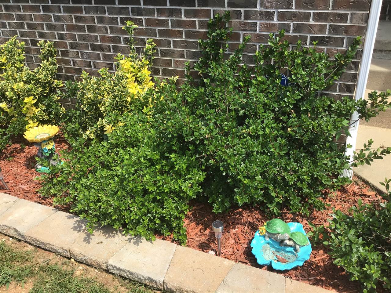 18430 Charity Drive, Dixon, MO 65459