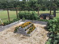 18430 Charity Drive, Dixon, MO 65459