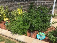 18430 Charity Drive, Dixon, MO 65459