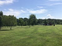 18430 Charity Drive, Dixon, MO 65459