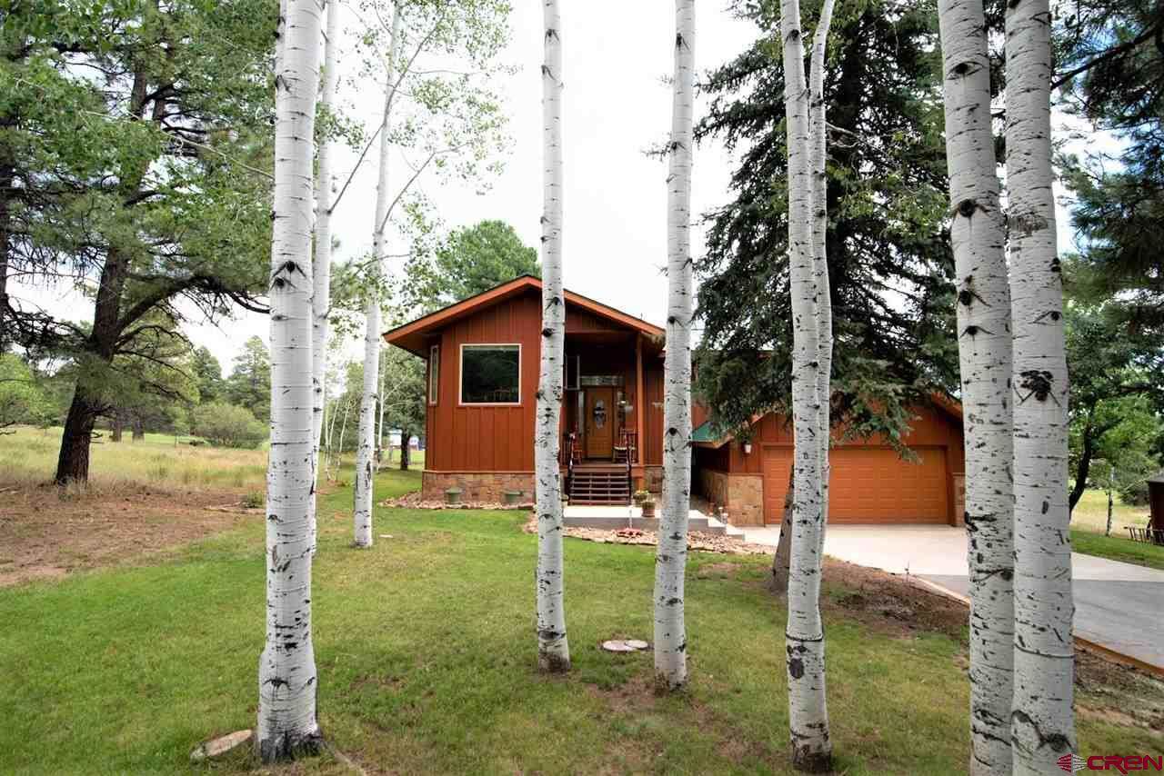 231 Pines Club Place, Pagosa Springs, CO 81147