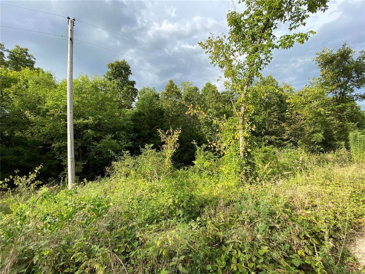 0 Red Oak Road, Laquey, MO 65534