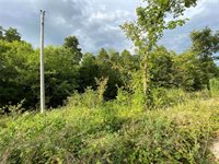 0 Red Oak Road, Laquey, MO 65534