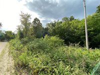 0 Red Oak Road, Laquey, MO 65534