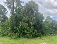 410 Plumosa Avenue, Lehigh Acres, FL 33972