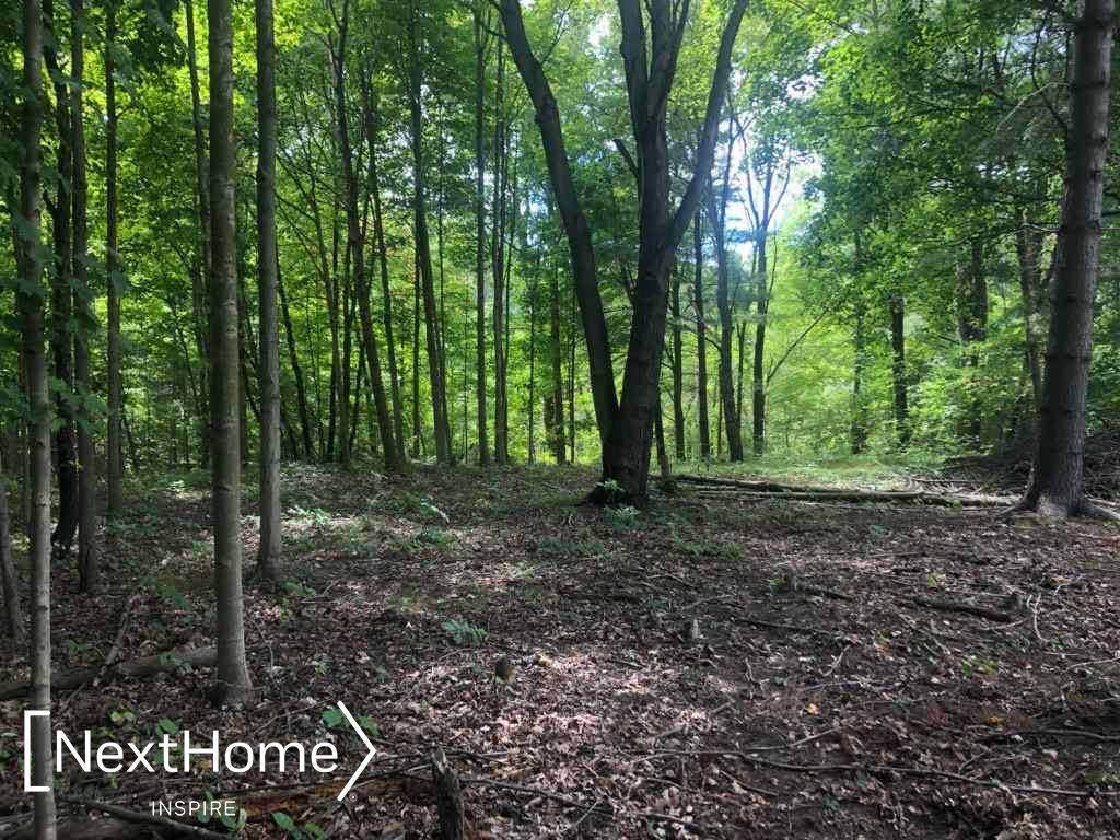 0 Kimberly, Millington, MI 48746