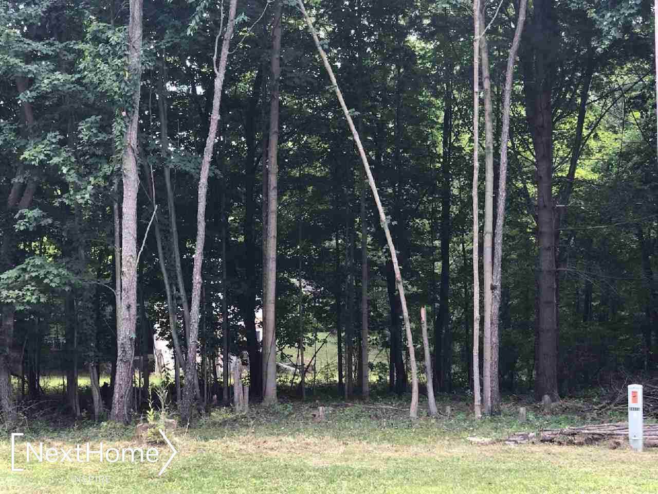 0 Kimberly, Millington, MI 48746