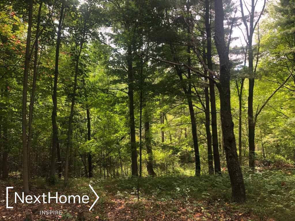 0 Kimberly, Millington, MI 48746