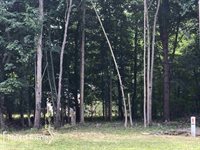 0 Kimberly, Millington, MI 48746