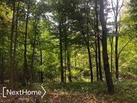 0 Kimberly, Millington, MI 48746