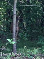 0 Kimberly, Millington, MI 48746