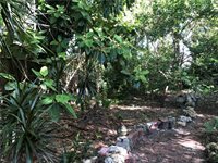 1929 10th Street, Sarasota, FL 34236